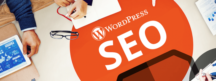 Seo Wordpress